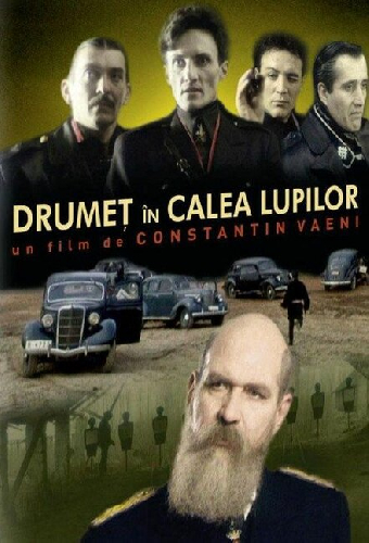 Drumeț în calea lupilor