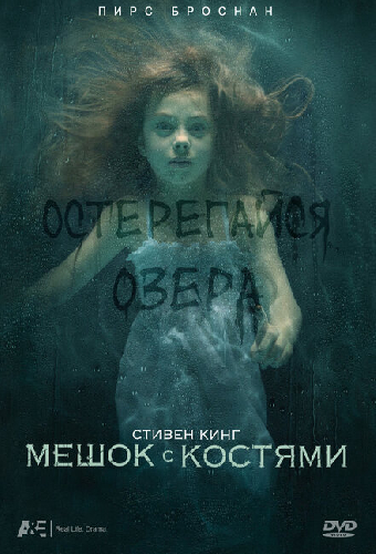Мешок с костями