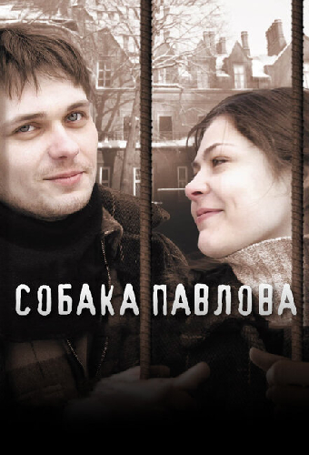 Собака Павлова