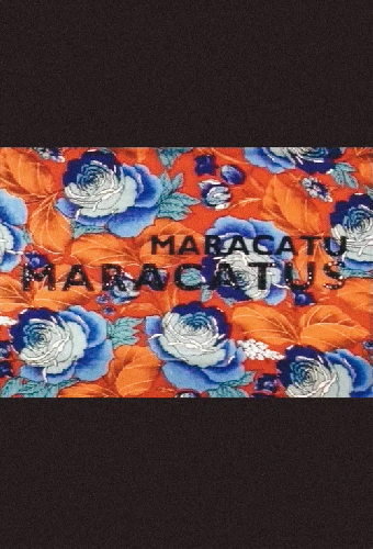 Maracatu, Maracatus