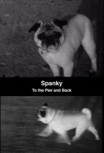 Spanky: To the Pier and Back