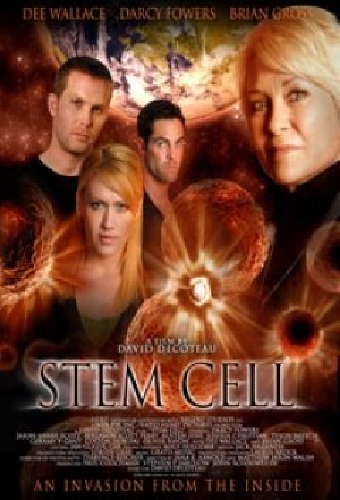 Stem Cell