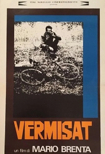 Vermisat