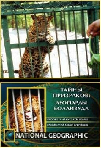 НГО: Тайны призраков: Леопарды Болливуда