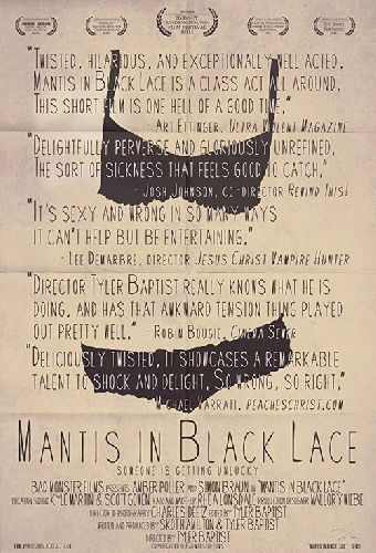 Mantis in Black Lace