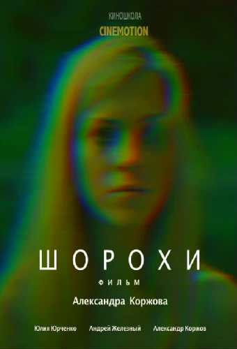 Шорохи