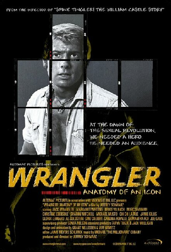 Wrangler: Anatomy of an Icon