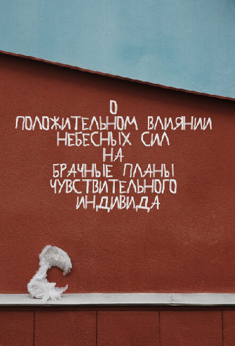О положительном влиянии небесных сил на брачные планы чувствительного индивида
