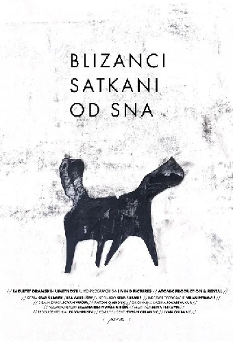 Blizanci satkani od sna