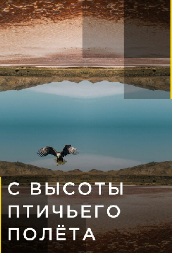 С высоты птичьего полета