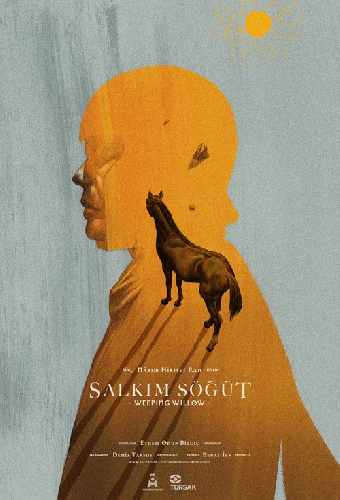 Salkım Söğüt