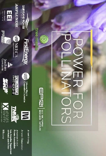 Power for Pollinators