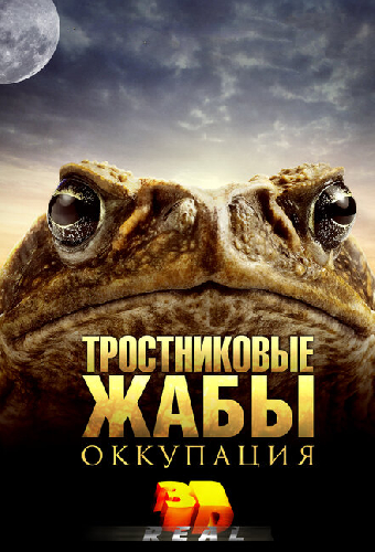 Тростниковые жабы: Оккупация