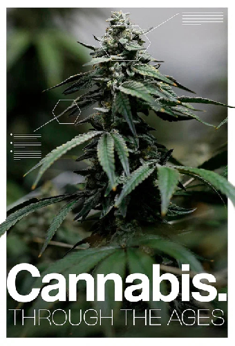Cannabis: Through the Ages