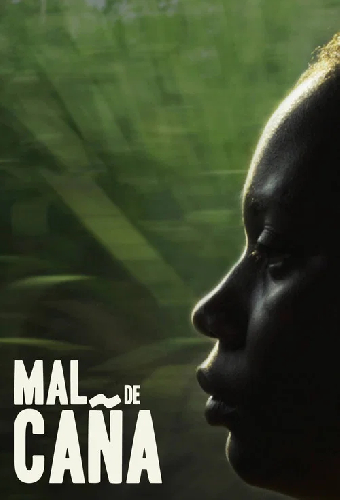 Mal de caña
