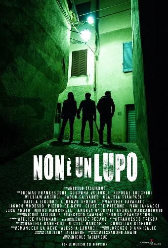 Non è un lupo