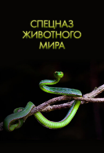 Спецназ животного мира