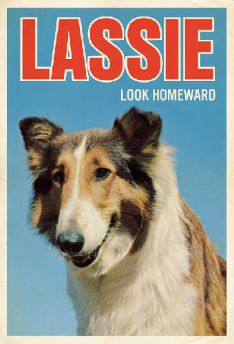 Look Homeward