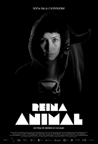 Reina animal