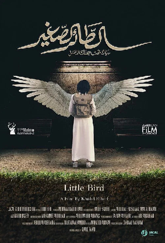 Little Bird