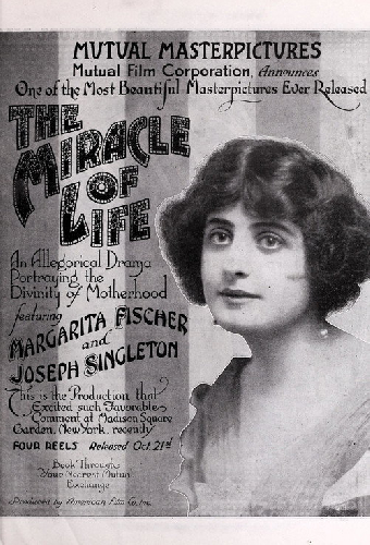 The Miracle of Life