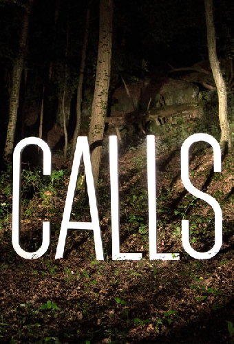 Звонки