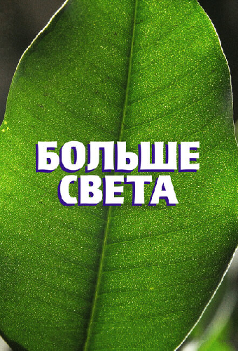 Больше света