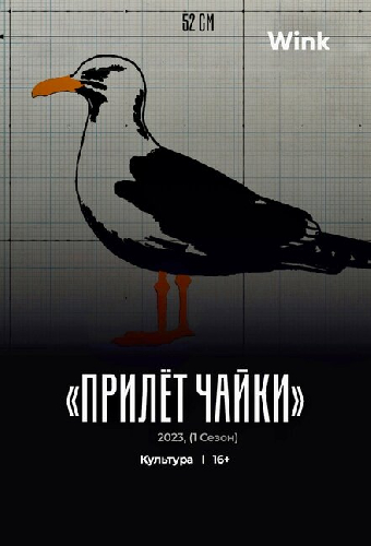 Прилёт чайки