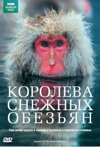 Королева снежных обезьян