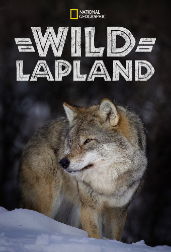 Wild Lapland