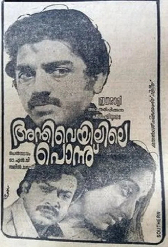 അന്തിവെയിലിലെ പൊന്ന്