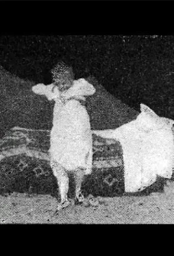La puce