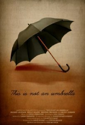 This is Not an Umbrella