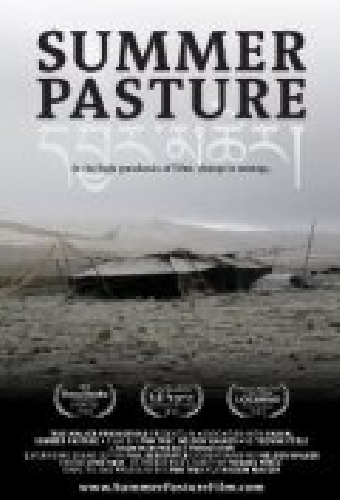 Summer Pasture