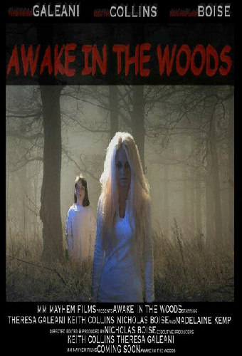 Awake in the Woods