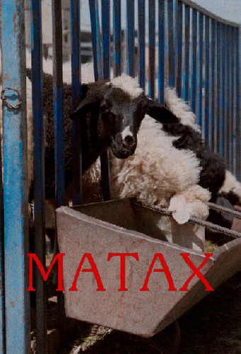 Матах