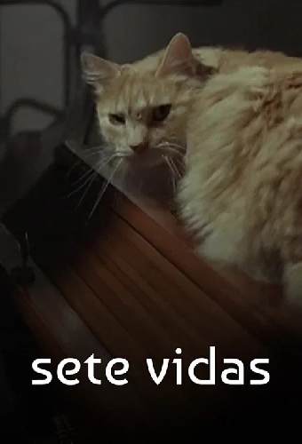 Семь жизней