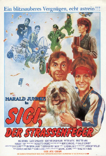 Sigi, der Straßenfeger