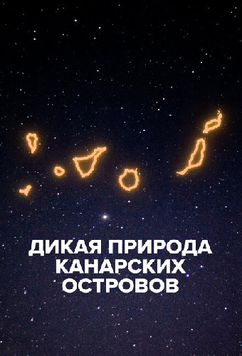 Дикая природа Канарских островов