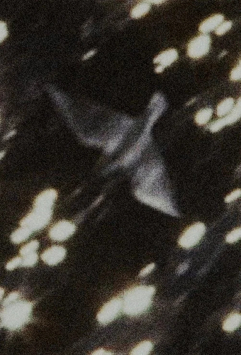 Мир
