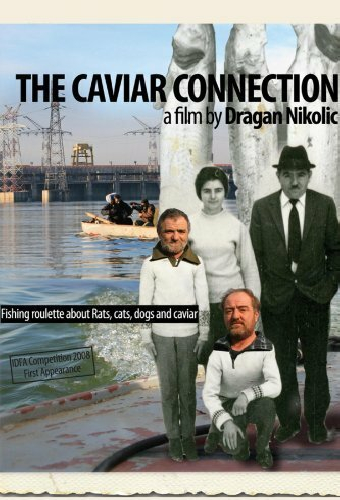 Икорная связь