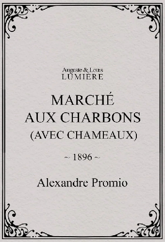 Marché aux charbons (avec chameaux)