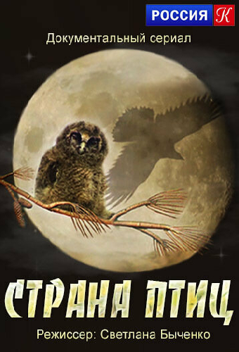 Страна птиц