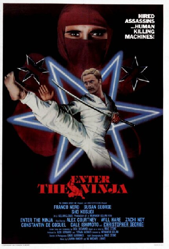 Входит ниндзя