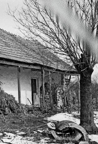 Бела Барток: Музыка ночи