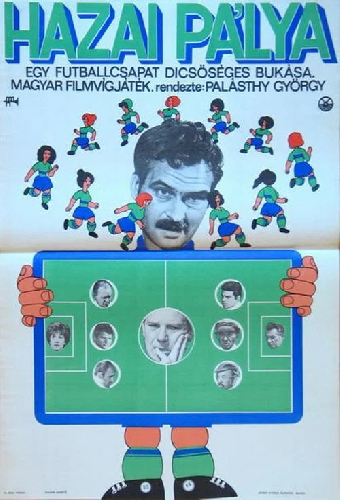 Домашняя спортплощадка