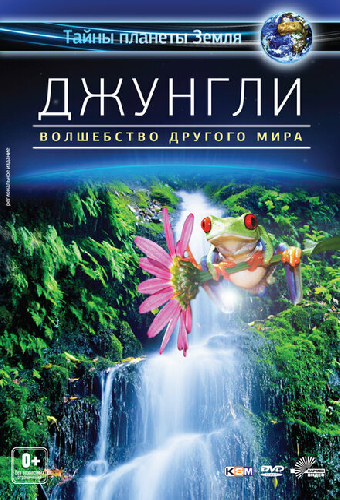 Джунгли 3D: Волшебство другого мира