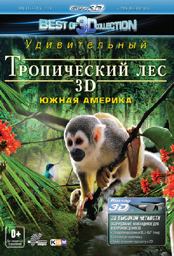 Тропический лес 3D