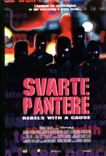 Svarte pantere