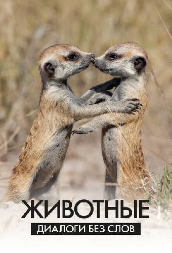 Животные: Диалоги без слов